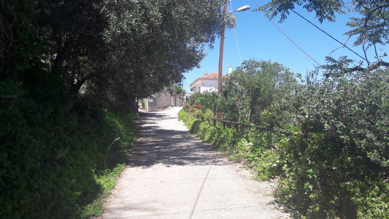 Aggeliki Apartments Anabolu Dış mekan fotoğraf